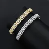 Link Bracelets Hip Hop Punk Shiny Diamond Tennis Chain 3A Cubic Zirconia Bracelet Gold Silver Glacier Clustered For Men Women