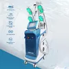 Çok Fonksiyonlu Ağırlık 360 Derece Dondurucu Kriyoterapi Vücut İnce Kriyo Zayıflama Makinesi Lipo Lazer Salon Spa için Zımlandırma Makinesi