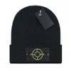 Nieuwe winter gebreide ISLAND Beanie heren en dames casual hoeden hoogwaardige gebreide warme mutsen hoeden vrouwelijke motorkap STONE Beanie Caps 17 kleuren S-17