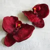 Decorative Flowers 10PCS Large Handmade DIY Hat Flower Butterfly Orchid Head Clothing For Sandals