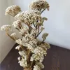 Decorative Flowers 50g Natural Millet Fruit Dried Flower Artificial Garden Decoration Outdoor Home Decor Free Door-to-door Delivery Of Chri