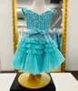 Glitzerndes Festzug-Kleid für Babys, 2024, mehrlagig, Tüll, Spitze, Cupcake, Festzug, Cocktail-Partykleid, Blumenmädchen, Kleinkind, Kleinkind, Little Miss, Flieder, Rosa, Aqua, Interview, lustige Mode