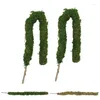 Garden Decorations Moss Plant Rod Pole Stimulate Plants For Pottted