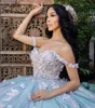 Fjäril quinceanera klänningar älskling boll klänning blommig prom klänning skräddarsydd vestidos de 15 anos quinceaneras bär