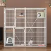 Case CAT CATERS CAGE VIVA TRE PIANO SUPER FREE SPAZIO SPAZIO SCURO CAZZA LUSSO