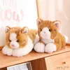 Stuffed Plush Animals Real Life Plush Cats Doll Stuffed Plush Toys for Children Baby Doll Kids Birthday Gift Home Decoration