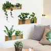 Wall Stickers 3pcs Plant Design Sticker Potted Pattern Decal Background Decoration And Beautification 231026