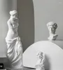 Bouteilles Sculpture de personnage nordique Artisanat David Plâtre Statue Résine Art Avatar Armoire à vin Maison Salon Décoration Croquis Visage F