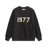 Livraison gratuite 1977 Sweat à capuche Essentialhoodie Crewneck Sweat-shirt Sweat-shirt Homme Designer Ess Essent Essentialclothing Felpa Uomo N0D6