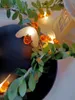 Dekorativa blommor Sträng med ljus Artificial Rose Garland Wedding Table Centerpieces Decorations Glowing 10/20LEDS White 1,5/3Meter