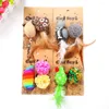 Cat Toys Legendog 3pcs Zestaw zabawek interaktywny kęs dowód żucia kociak gier piłkę kolorowy pościg treningowy