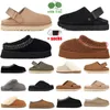 Goldenstar tazz Zapatillas Zuecos Boston Sandalias estrella dorada Zueco castaño Sandalia de playa Diapositivas cruzadas Mujer Tazz Tasman Semilla de mostaza Zapato de invierno Tazz UGGbraid Talla 36-44