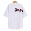 Angel Pa Harajuku 23SS Spring Letter Printing T -shirt Losse oversize Angels Hip Hop Unisex Short Tees WXA