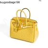 Ostrich Handbags Womens Bag 2024 New Imitation Leather Highgrade Portable Versatile Fashion Shoulder Messenger Have Logo Y4u9