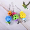 Inne ptaki dostarcza zabawki Pet Bites Toy Parrot Chew Ball Swing klatka wisząca akcesoria kokatina Budgie