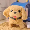 RCロボットの子供のふりをするペットケアセットシミュレーションエレクトリックぬいぐるみ詰め犬キャットウサギのおもちゃウォーキングバーキング教育玩具231027