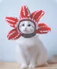 Odzież dla psa Chomper Pet Cat Hat Halloween Scary Red Cap dla małych szczeniąt Multi Size Costume Akcesoria kreskówkowe Pluszowe zapasy