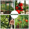 Décorations de jardin 24pcs Stake Bras Cage Extensible Treillis Connecteurs Stakes Supports de bielle pour légumes Fleurs Fruits Vigne