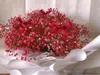 Dekorative Blumen 2500 roter getrockneter Schleierkraut – atemberaubender natürlicher Schleierkraut-Blumenstrauß für Heimdekoration, Hochzeiten und DIY-Blumenprojekte