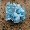 Fleurs décoratives 10 g/lot Grade A éternel préservé tête d'hortensia atlantiste vraie Rose pour la décoration de fête de mariage bricolage fleur chapeaux