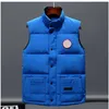 gilet imbottito da uomo gilet gilet da uomo gilet invernale tendenza moda coppia cappotto gilet piuma materiale cappotto allentato grigio grafite bianco e nero blu