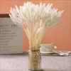الزهور الزخرفية ذيول طبيعية مجففة رقيقة بامباس العشب لترتيب الأزهار الزفاف الديكور المنزل ديكور مكتب المطبخ