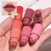 Conjunto de batom brilho labial 4 cores em 1 kit de caneta de veludo fosco lipliner à prova d'água duradouro não desbotando cosméticos de maquiagem 231027