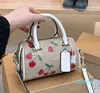 cherry shoulder bag luxurys handbags designer bags Pillow Bag women mini new