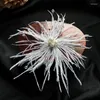 Hair Clips Cute Crystal Feather Bridal Barrettes Headdress Tiaras Handmade Brides Clip Wedding Accessories Presilhas De Cabelo