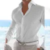 Camisas masculinas camisa festa poliéster regular fino ajuste sólido botão para baixo casual causal confortável férias diárias