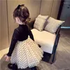 Mädchen Kleider Herbst Frühling Baby Kleidung 2023 Kind Kleid Langarm Drucken Mesh Prinzessin Kinder Kleidung Vestidos Q95