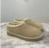 2023 Nova Austrália Tasman Chinelos Clássicos Botas de Algodão Azz Slip-On Sapatos Botas de Designer de Base Superior Australie Sapatos de Inverno Quentes