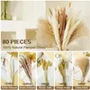 Dekorativa blommor 80 st torkade pampas dekor naturliga brun vit pompös grässvans vete vete boho hem bröllop blommor arrangemang