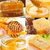 Spremiagrumi Spremitore manuale per formaggi Sbattitore per frutta e verdura di gelso Estrattore di miele Pressa per cera d'api