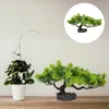Decorative Flowers Realistic Potted Sashimi Decoration Artificial Indoor Plants Fake Pine Tree Statue