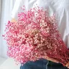 Dekorative Blumen 2500 roter getrockneter Schleierkraut – atemberaubender natürlicher Schleierkraut-Blumenstrauß für Heimdekoration, Hochzeiten und DIY-Blumenprojekte