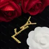 Luxury diamond brooch earrings Designers Women Brooch Pins Men Gold Letter Y Brooches Suit Dress Pins Designer Jewelry Clothing Accessories