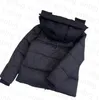 Designer B Kvinnor Down Jacket Winter Coats bär bomullsjackor Båda sidor Vintrar Fashion Högkvalitativ huva Womena Coat