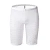 Sous-vêtements pour hommes Boxer Shorts Stripe Mesh Voir à travers un demi-pantalon Lounge Sous-vêtements Lingerie Mode allongée pour hommes Pyjama transparent