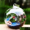 Vasen 10 stücke Globe Form Transparent Glas Terrarium Ball Blume Hängen Pflanzer Container Landschaft Ornament Garten Dekor 210409 Drop Dhveo