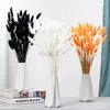 Decoratieve bloemen natuurlijke staarten gedroogd pluizig pampagras voor bloemstuk bruiloft decoratie huis keuken kantoor decor