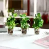 Mini fleurs décoratives vertes artificielles, Faux en Pot dans un Pot en verre, décorations pour révéler le sexe, hortensia Papel Coreano Para Flore