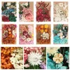 装飾的な花2パック/セットキャンドル天然植物乾燥本物のマニュアル植物絵画プレスドライ装飾花Diyアートクラフト