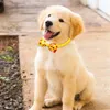 Hondenkleding Strik Huisdier Haarelastiekjes Versieren Fruit Patroon Stropdassen Band Voor Kleine Kat Honden Puppy Hoofddeksels Accessoires