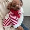 犬のアパレルクリスマスペットドッグの服を送るスカーフ犬のフーディープルオーバー小さな中犬セーター温かい冬のデザインチワワヨークシャー231027