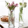Vasos listrado vaso de vidro estilo espanhol nórdico luz luxo transparente flores cultivadas em água e artesanato de decoração criativa