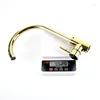 キッチン蛇口Sanipro Factory Low MOQ Develop Design SUS 304 PVD ​​Mablack Gold Stainless Steel Faucet