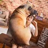 Doldurulmuş Peluş Hayvanlar 3D Sevimli Bükülme Köpek Baskılı Yastık Hayata Gibi Hayvan Komik Köpek Kafası Cosplay Çocuklar En Sevilen Oyuncak Yastık Yıkılabilir Homel231027