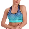 Yoga Outfit Vintage Two Tone Sport Bra Blue Green U Neck Pilates Support Raceback Crop Bras Padded Top For Women