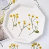 Decorative Flowers 6-10cm/12PCS Chamomile True Pressed Flower DIY Cup Cushion Drip Glue Handmade Material Daisy Phone Case Dry Po Frame